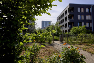 Végétalisation à Saint-Denis