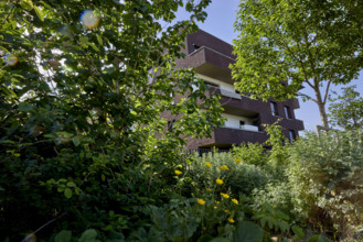 Végétalisation à Saint-Denis