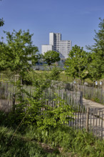 Végétalisation à Saint-Denis