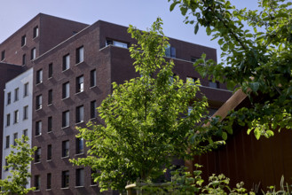 Végétalisation à Saint-Denis