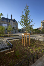 Végétalisation à Saint-Denis