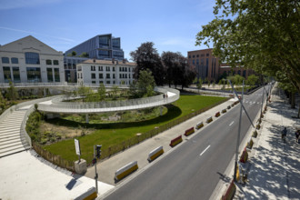 Végétalisation à Saint-Denis