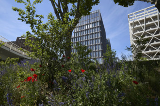 Végétalisation à Saint-Denis