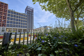 Végétalisation à Saint-Denis