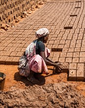 Indian woman producing adobe bricks, Usilampatti, Tamil Nadu, India