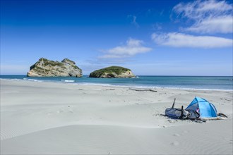 Camping tent on Wharariki Beach with Archway islands in the background