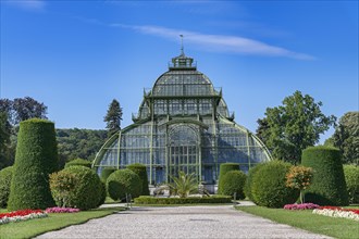 Palm House