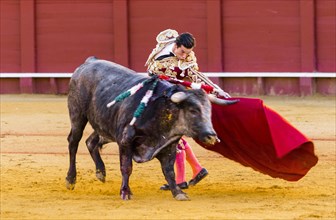 Bull with matador