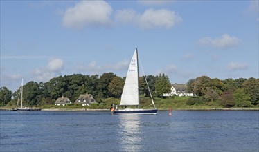 Sailboat on the Schlei