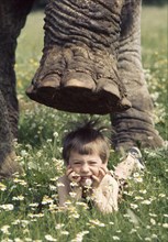 Child under elephant foot
