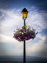 Decorative basket of flowers hanging on a street lamp