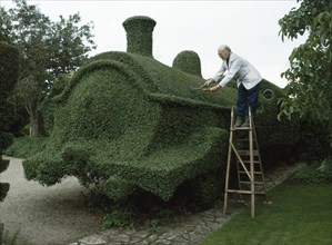 Gardener cuts draught from a hedge