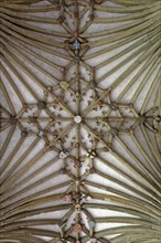 Decoration of the ceiling in the cloister