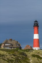 Lighthouse with thatched houses
