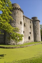 Historic ruins of Nunney Castle