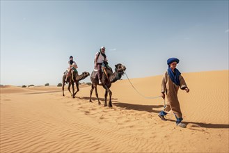 Caravan with dromedaries (Camelus dromedarius)