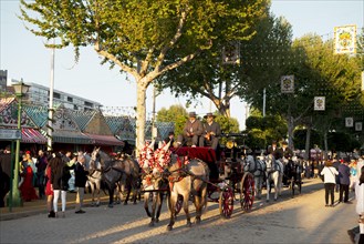 Horse-drawn carriage in front of Casetas