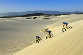 Mountain bikers with fat bikes descending sand dunes
