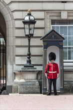 Security guard of the Royal Guard with bearskin cap