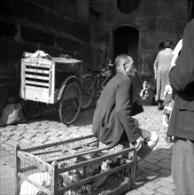 Seller sits on a cage with chickens and smokes his pipe