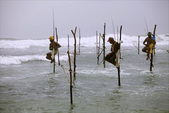Stilt Fisherman