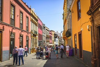 Lively alley with typical colorful houses in the pedestrian area
