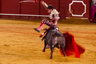 Bullfighter jumps over bull