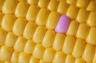 Genetic manipulation of maize difference