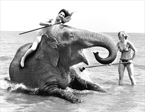 Women doing elephant washing