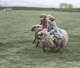 Two children ride on sheep