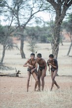 Kung Bushmen are following an animal trail
