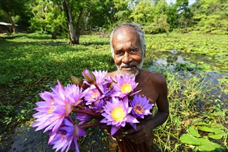 Old man with flowers of Blue Lotus (Nymphaea caerulea)