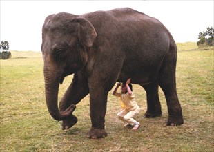 Girl stemming elephants