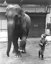 Playing elephant and boy