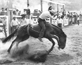 Man on horse during rodeo
