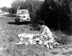 Woman making picnic