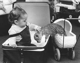 Baby and small cat in a stroller