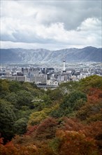 Kyoto tower and the cityscape with mountains in the background and colorful autumn trees in foreground with an eagle flying by