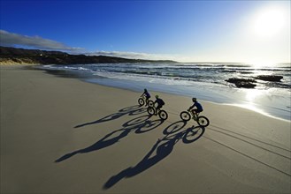 Mountain bikers with Fatbikes at the sandy beach