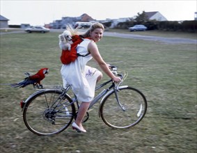 Girl on a bike with a dog and a parrot