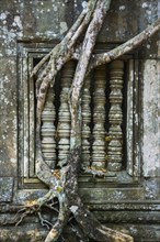 Tree root overgrown window of a Khmer temple ruin