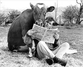 Man and cow read newspaper