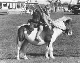 Child and monkey ride on a pony
