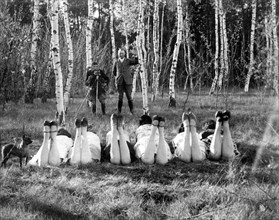 Man is photographing six women in a beech forest