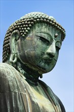 Head of sitting Buddha Amida Nyorai