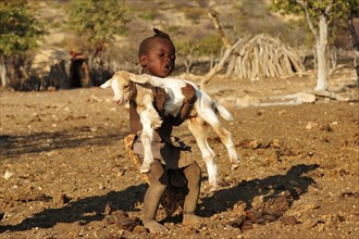 Little Himba boy carrying a goat