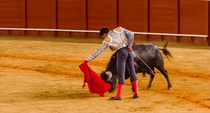 Racing bull with matador