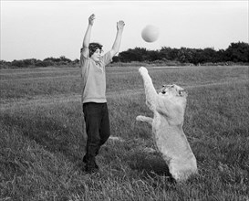 Boy playing ball with lions