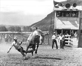 Man on horse during rodeo