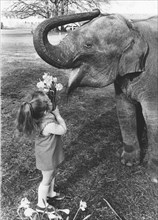 Girl shows flowers to an elephant